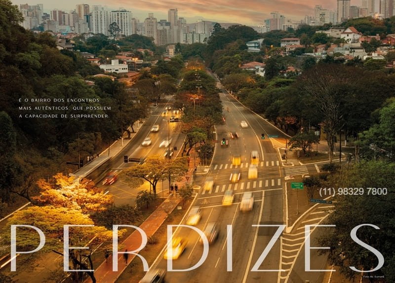 1 PERDIZES AUTHENTIQUE