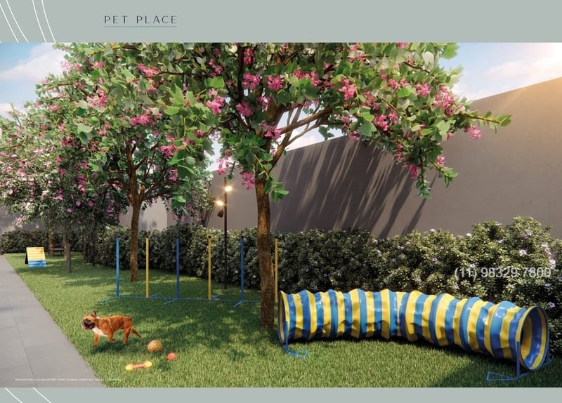 11 PERDIZES AUTHENTIQUE