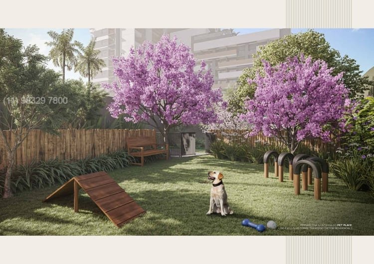 17 ESSENCIA BRASILEIRA - MITRE